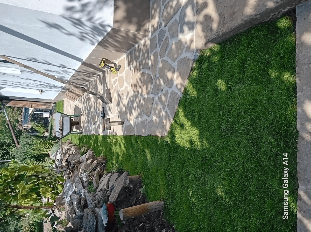 Yard design in no_style style — photo by GenRoom AI