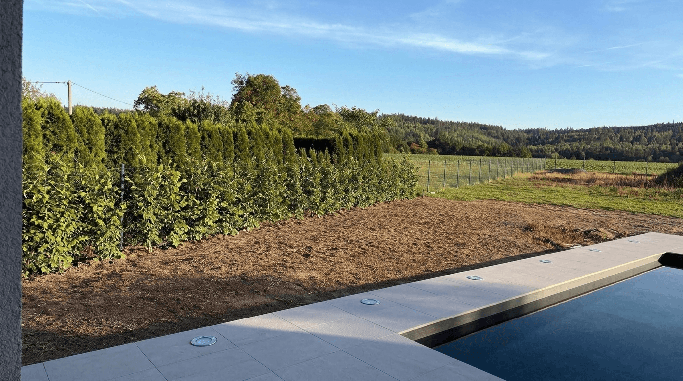 Yard design in no_style style — photo by GenRoom AI