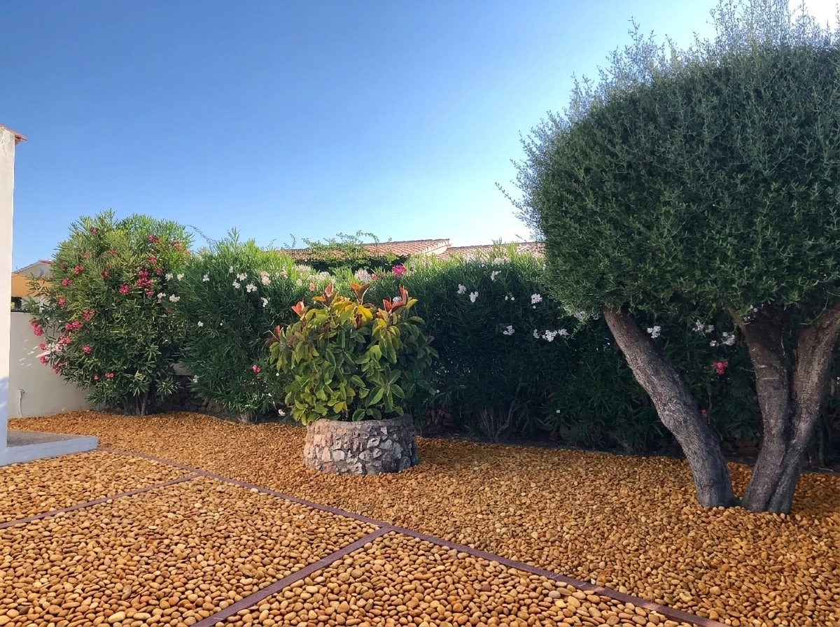 Yard design in no_style style — photo by GenRoom AI