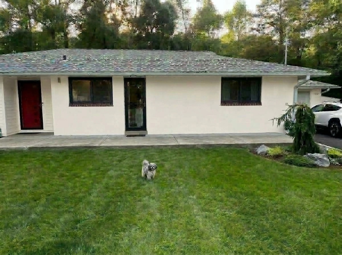 Landscape design in Contemporary Yard style — Yard by GenRoom AI