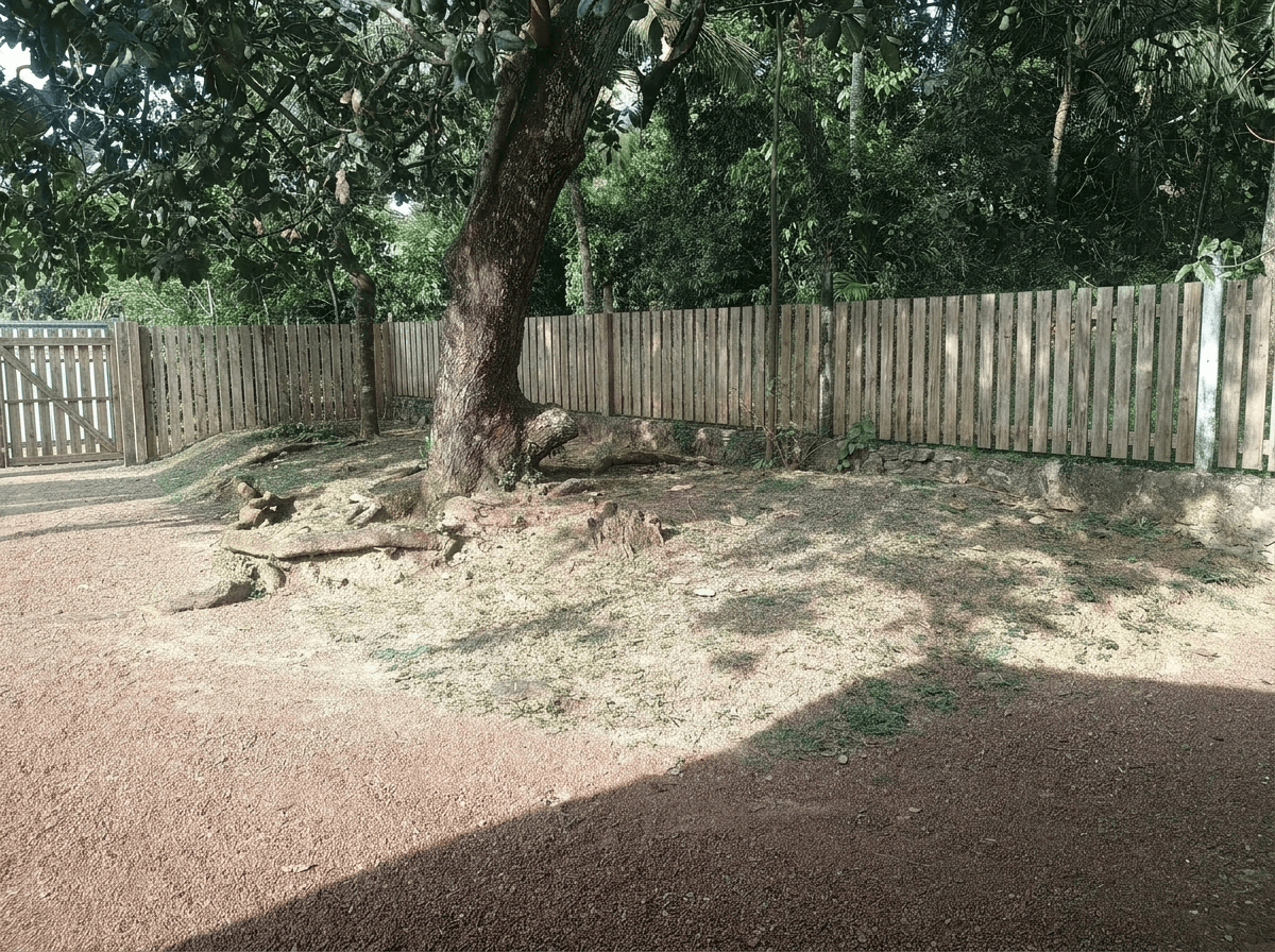 Yard design in no_style style — photo by GenRoom AI