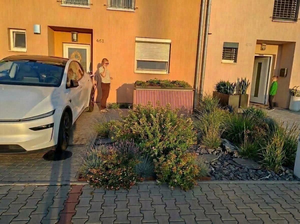 Landscape design in Contemporary Yard style — Yard by GenRoom AI