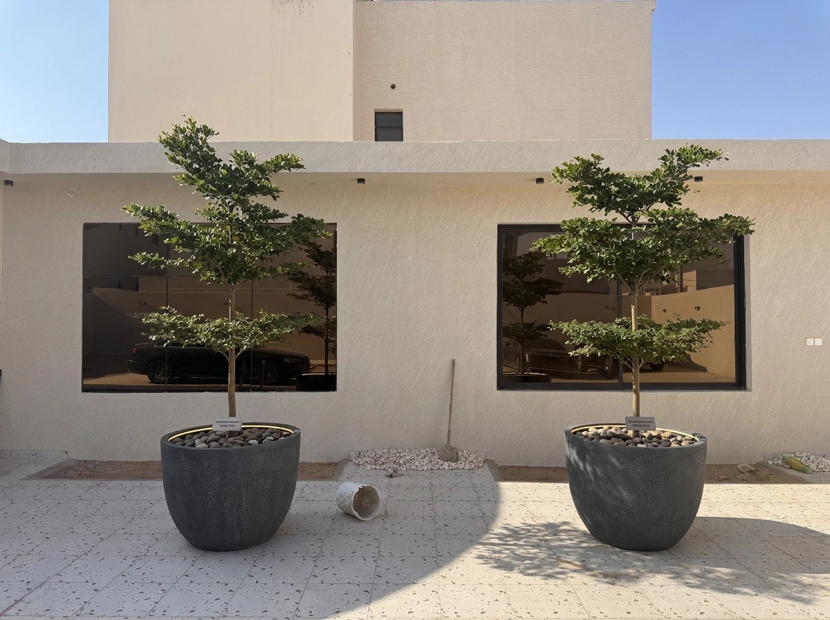 Yard design in no_style style — photo by GenRoom AI