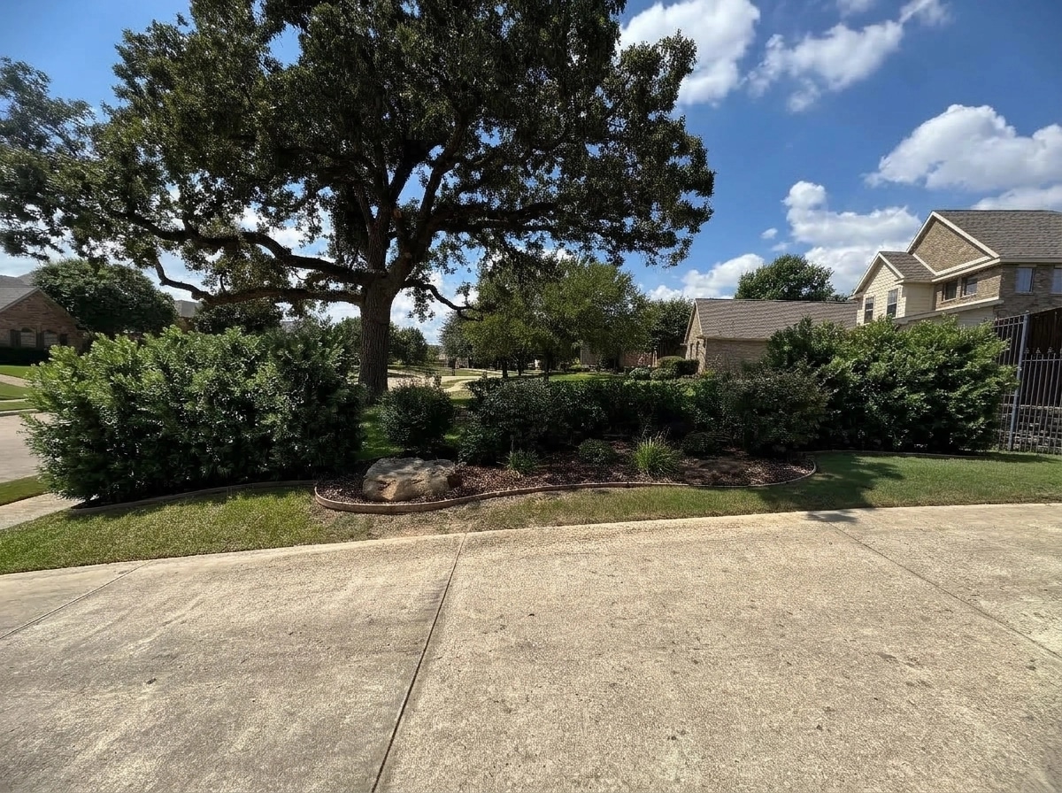 Yard design in no_style style — photo by GenRoom AI