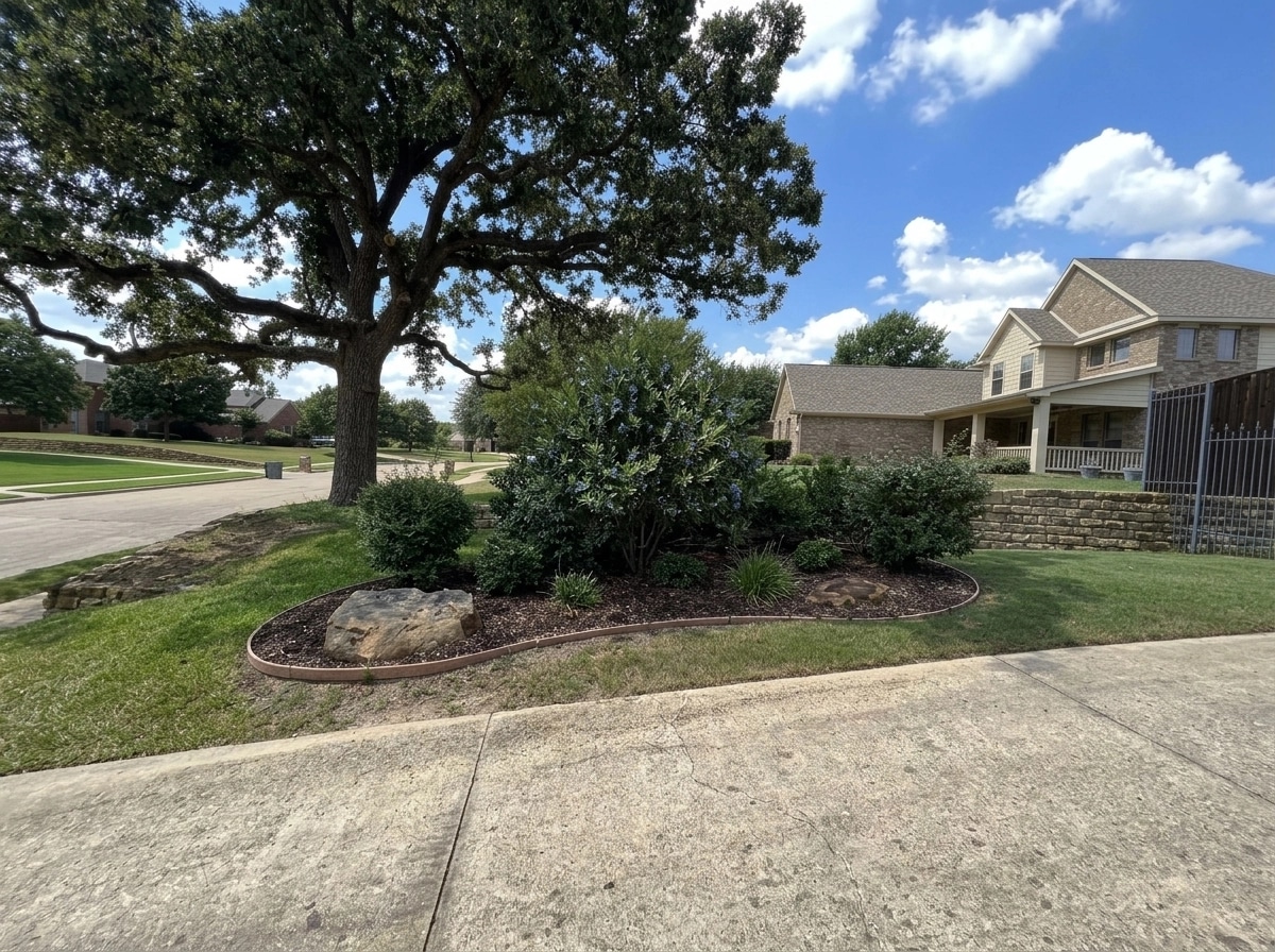Yard design in no_style style — photo by GenRoom AI