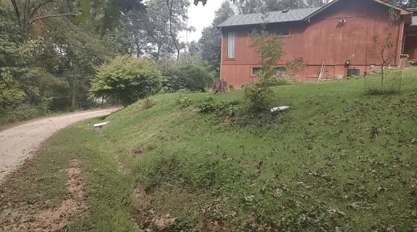 Yard design in no_style style — photo by GenRoom AI