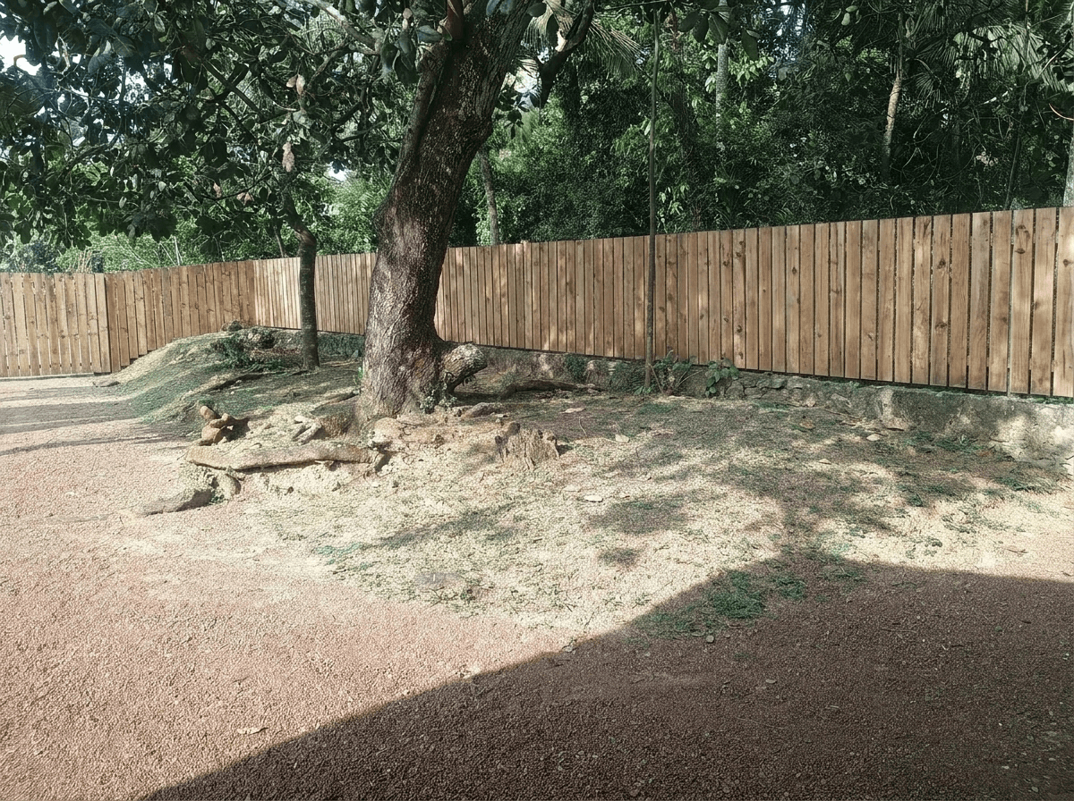 Yard design in no_style style — photo by GenRoom AI