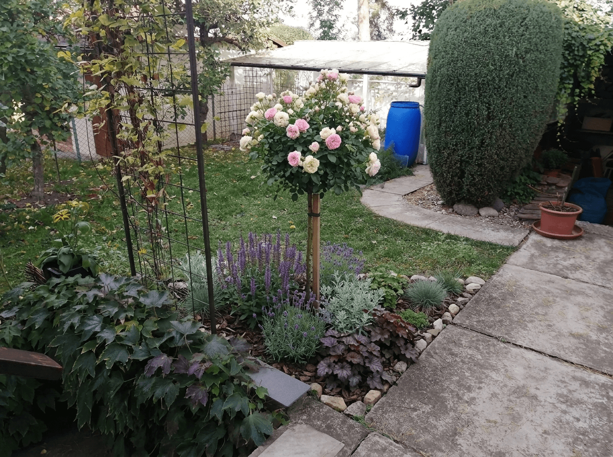 Yard design in no_style style — photo by GenRoom AI