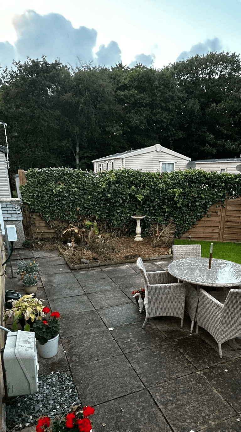 Yard design in no_style style — photo by GenRoom AI
