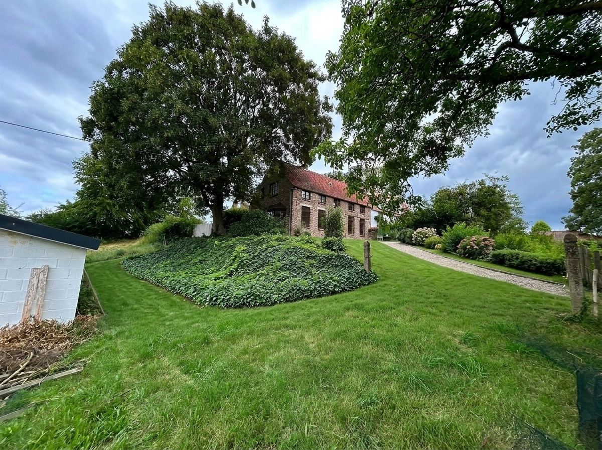 Yard design in no_style style — photo by GenRoom AI