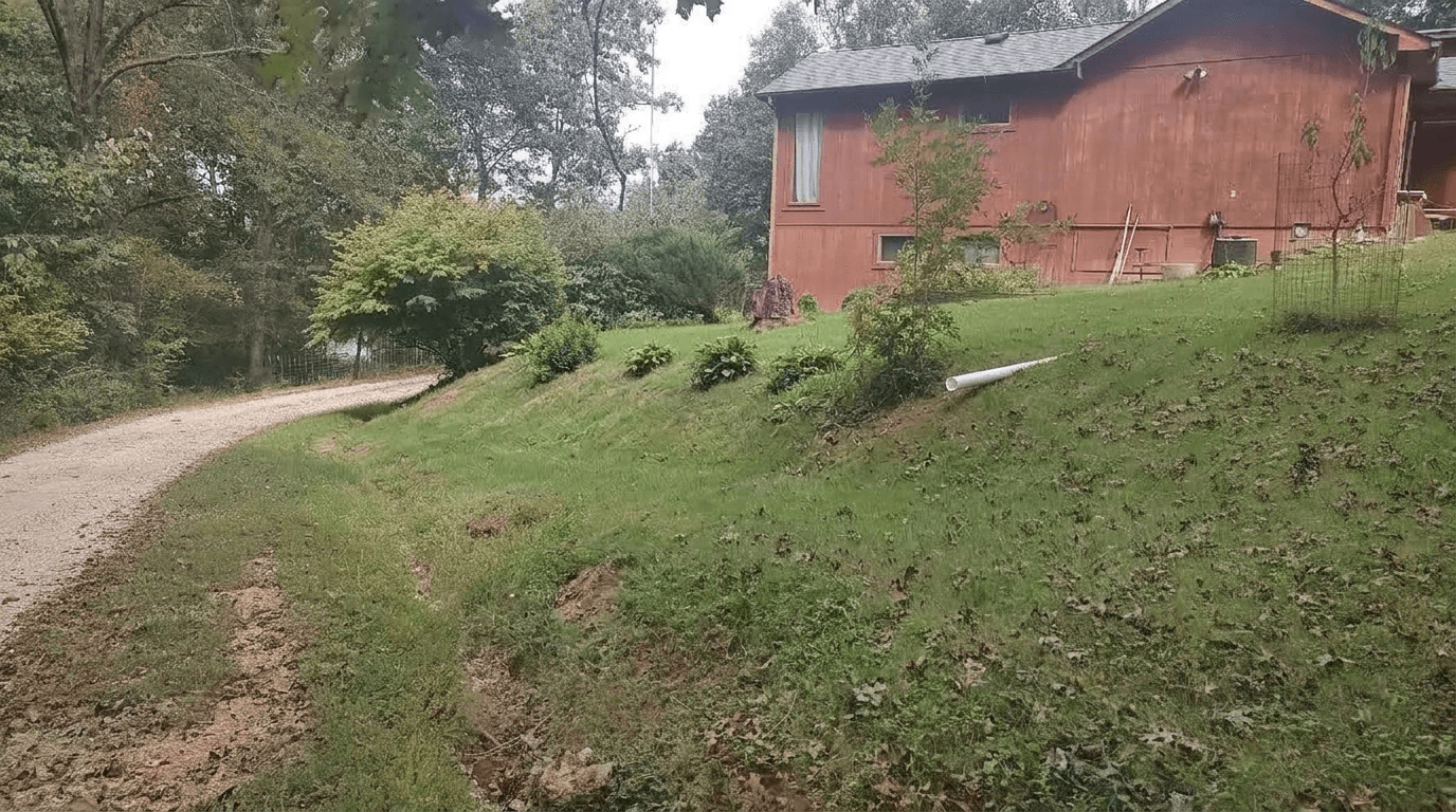 Yard design in no_style style — photo by GenRoom AI