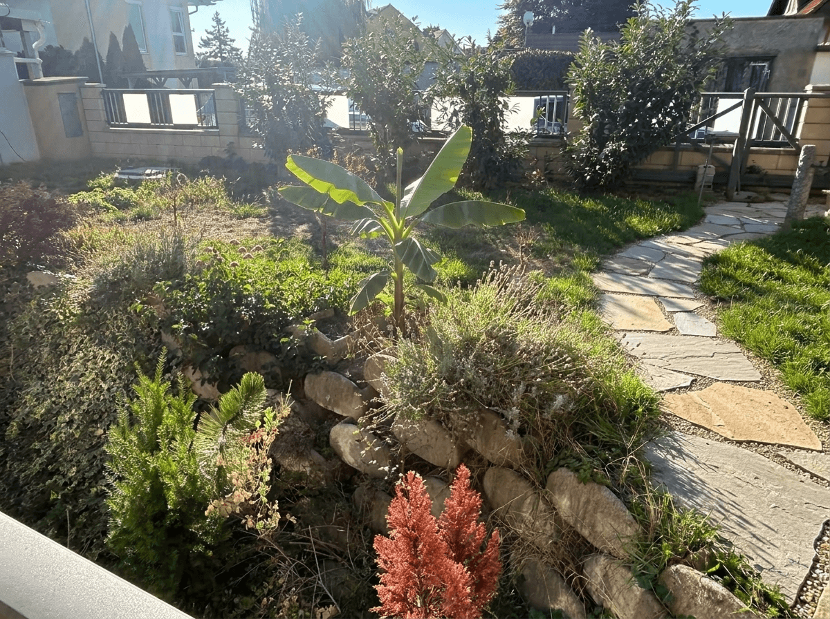 Yard design in no_style style — photo by GenRoom AI