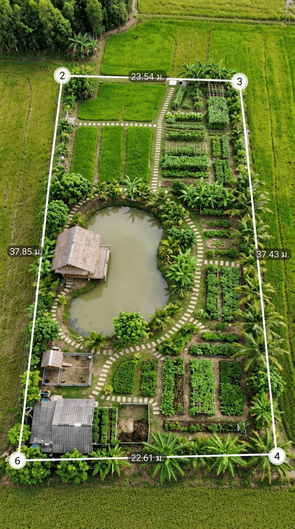 Yard design in no_style style — photo by GenRoom AI