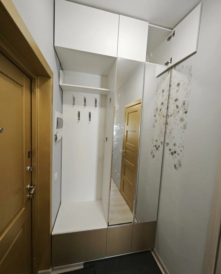 Hallway interior in no_style style — photo by GenRoom AI