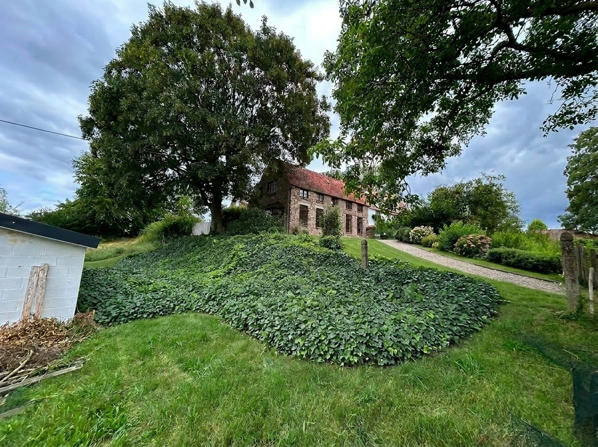 Yard design in no_style style — photo by GenRoom AI