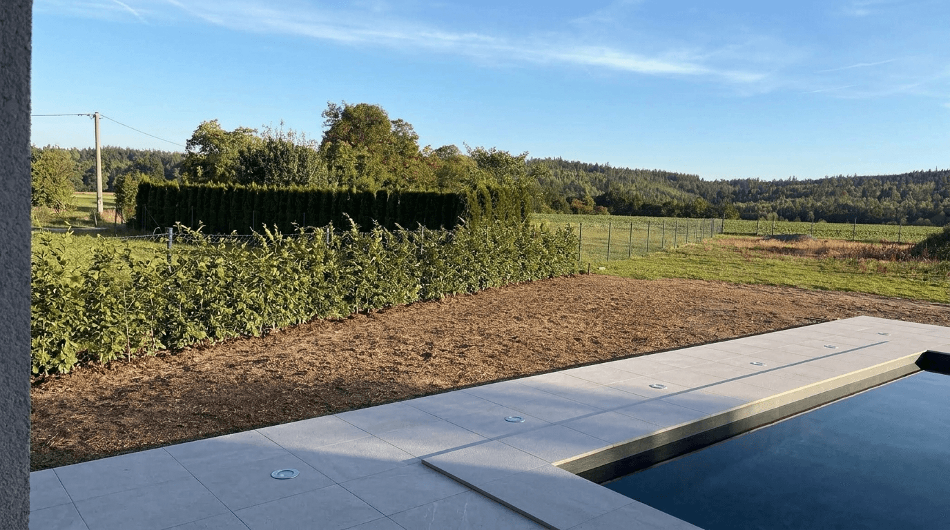 Yard design in no_style style — photo by GenRoom AI