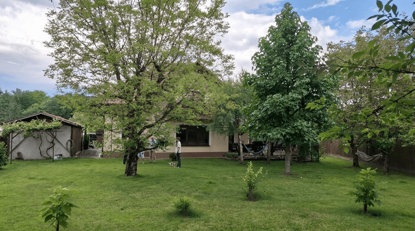 Yard design in no_style style — photo by GenRoom AI