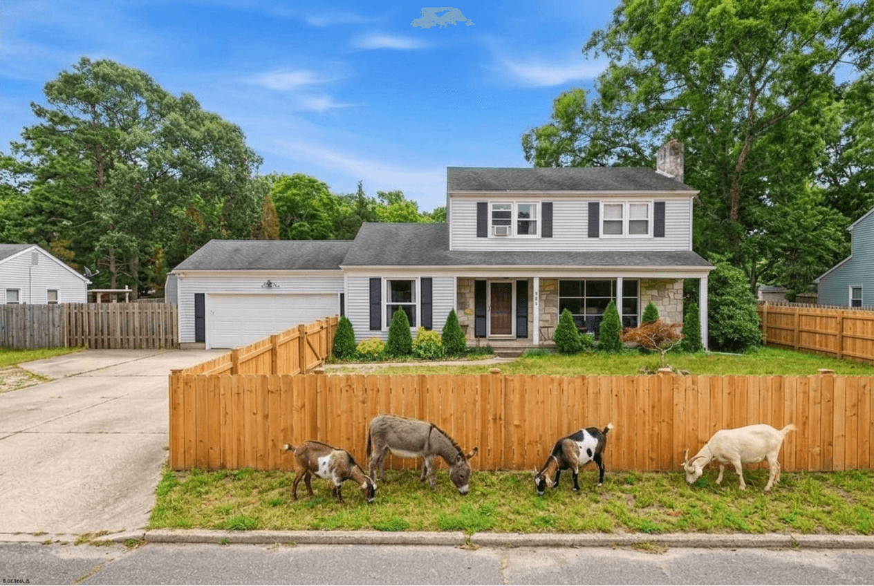 Yard design in no_style style — photo by GenRoom AI