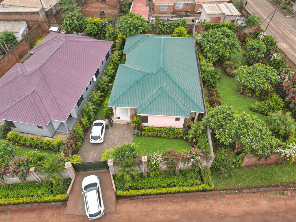 Yard design in no_style style — photo by GenRoom AI