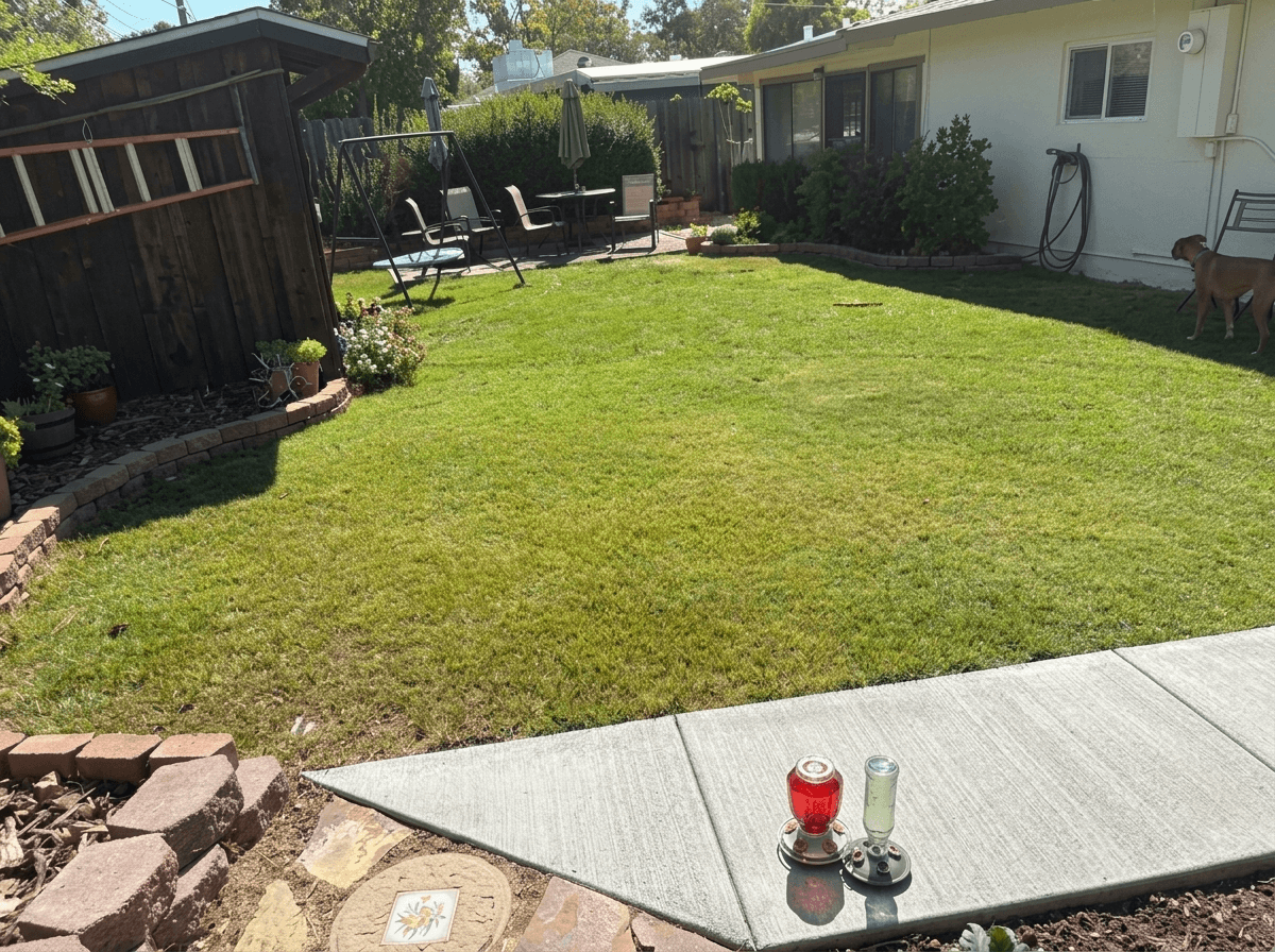 Yard design in no_style style — photo by GenRoom AI