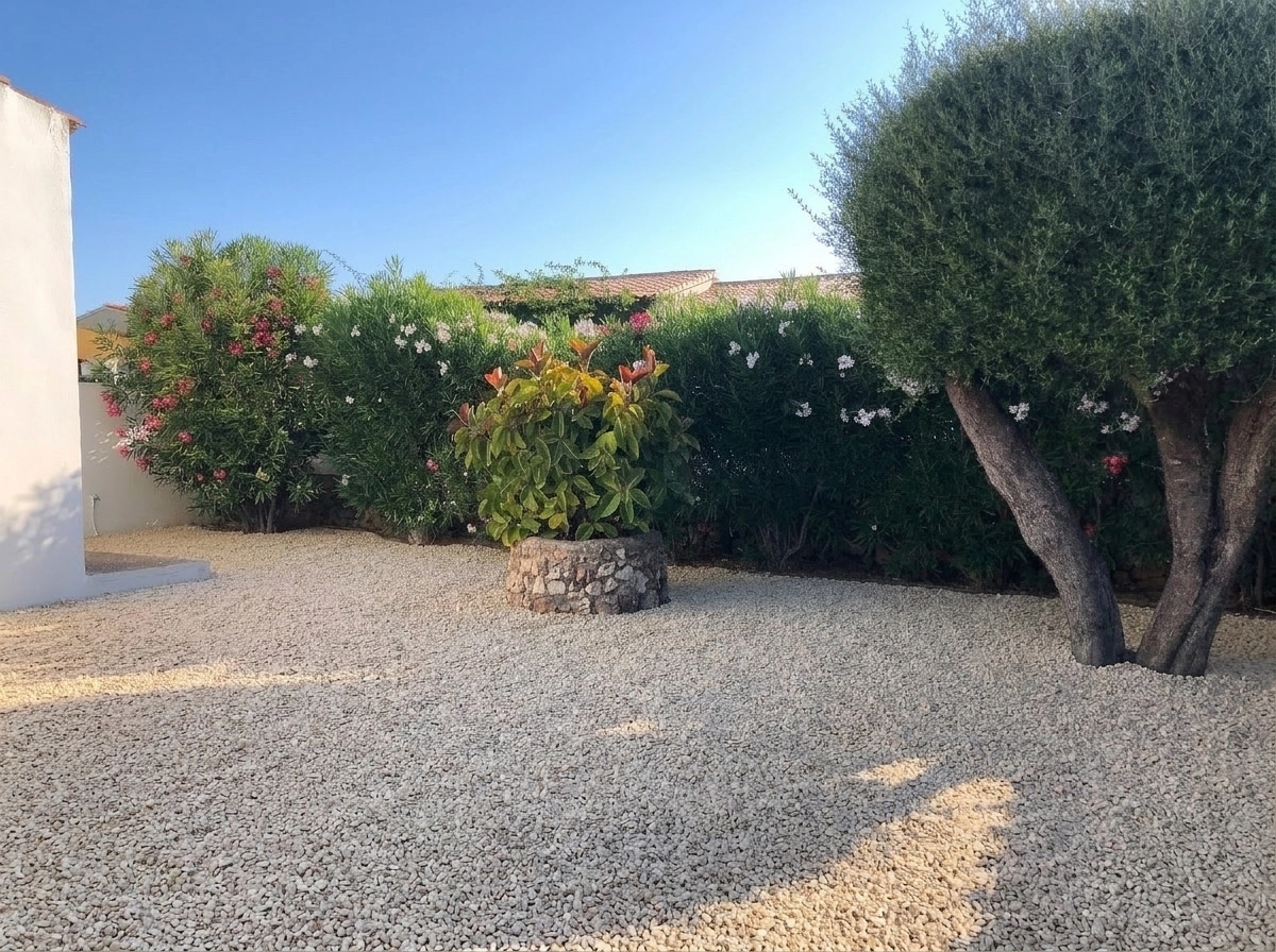 Yard design in no_style style — photo by GenRoom AI