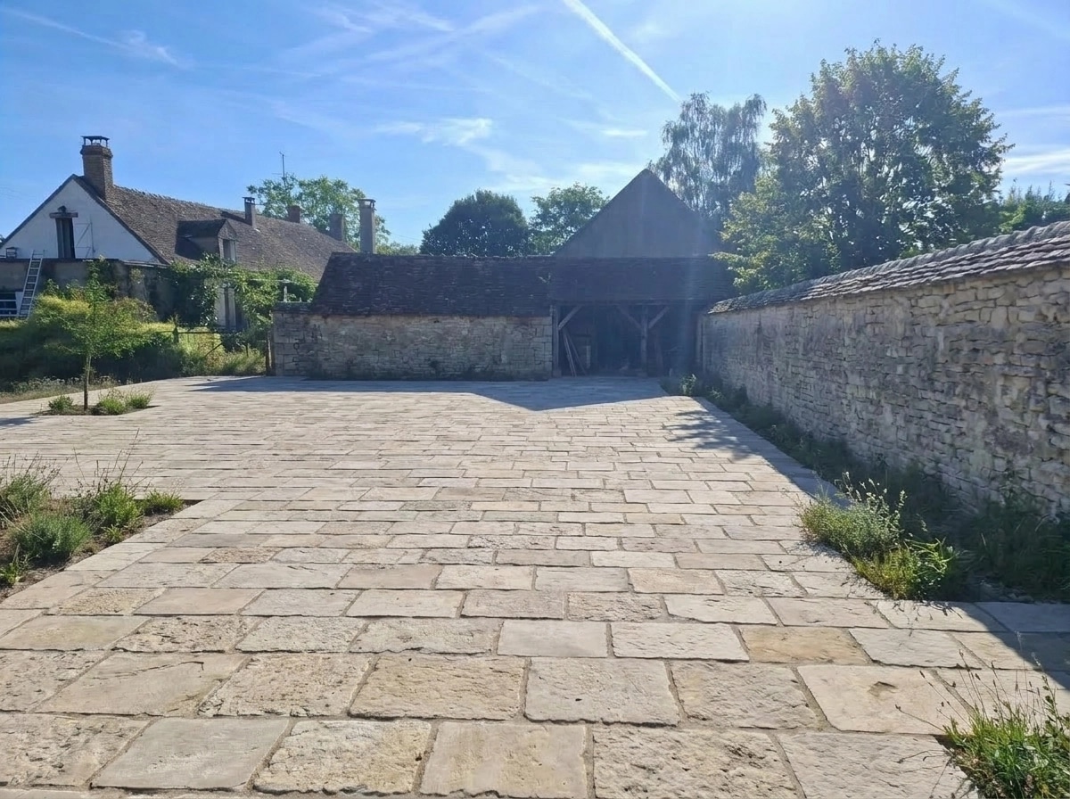 Yard design in no_style style — photo by GenRoom AI