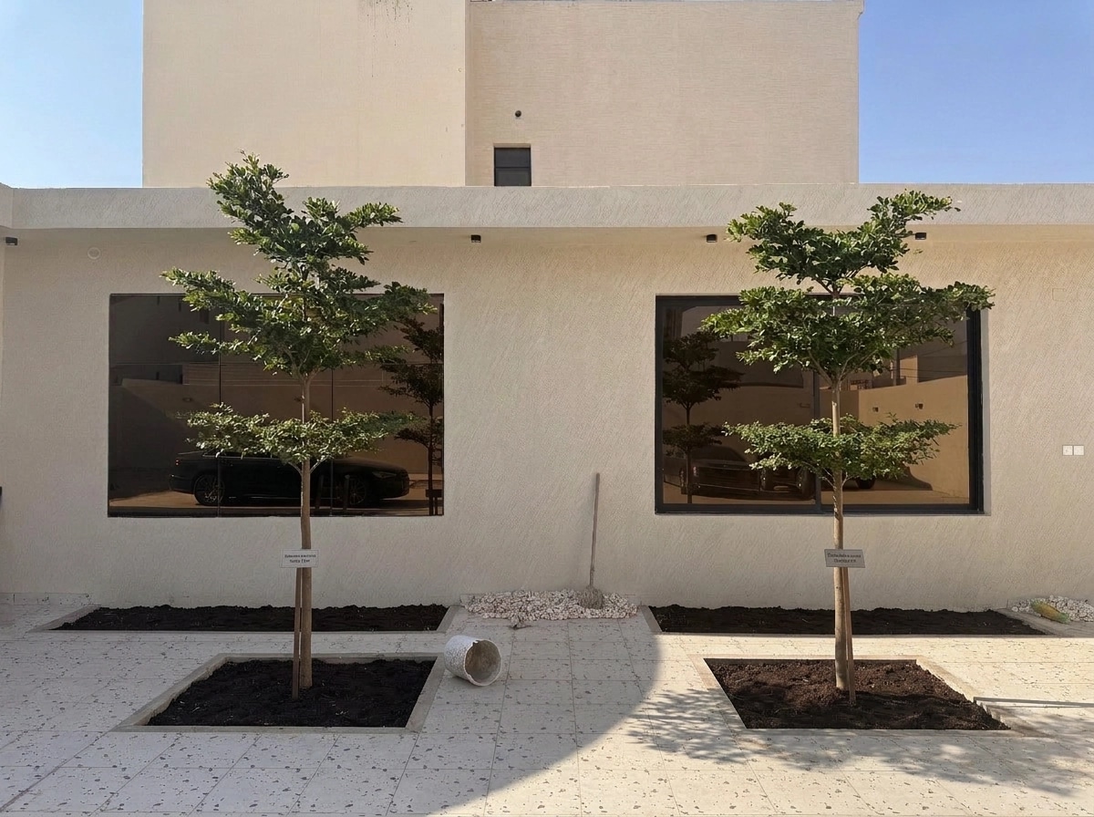 Yard design in no_style style — photo by GenRoom AI