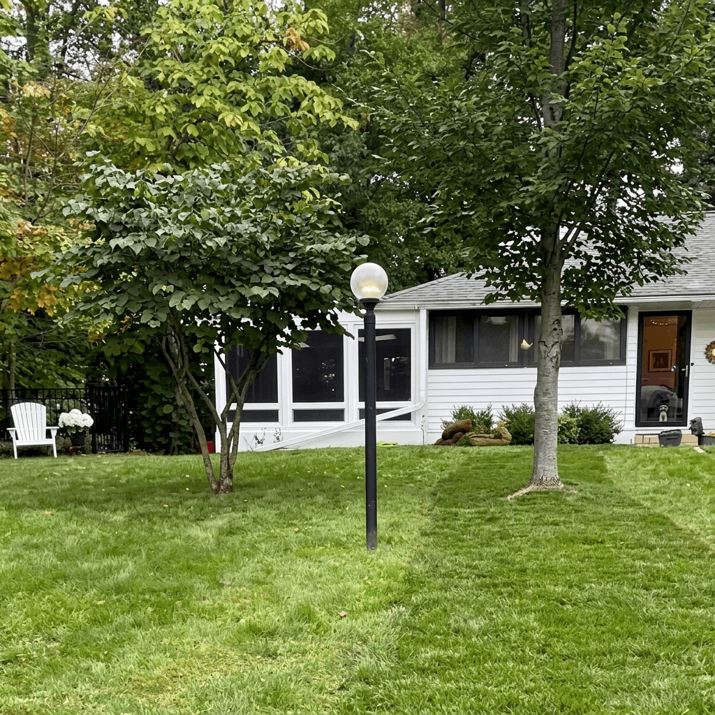 Yard design in no_style style — photo by GenRoom AI
