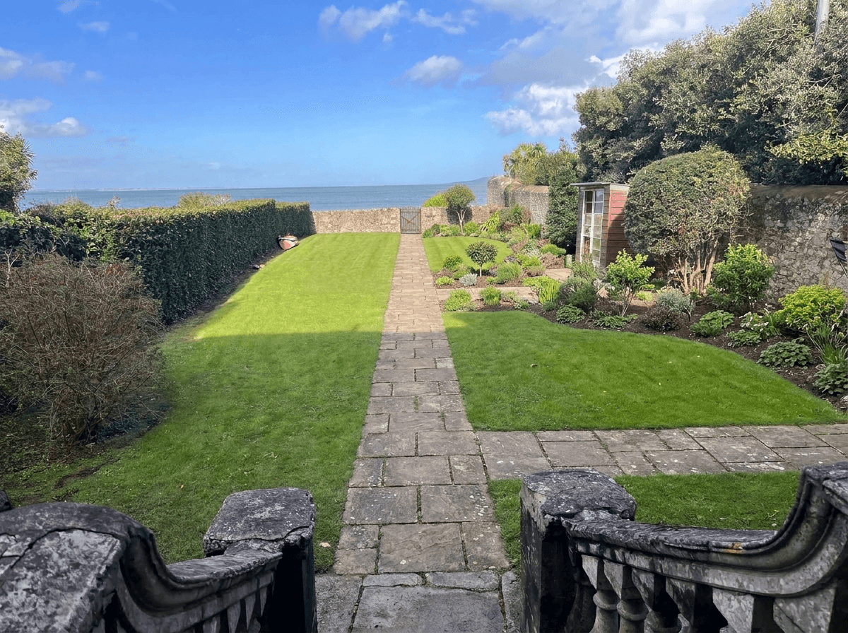 Yard design in no_style style — photo by GenRoom AI