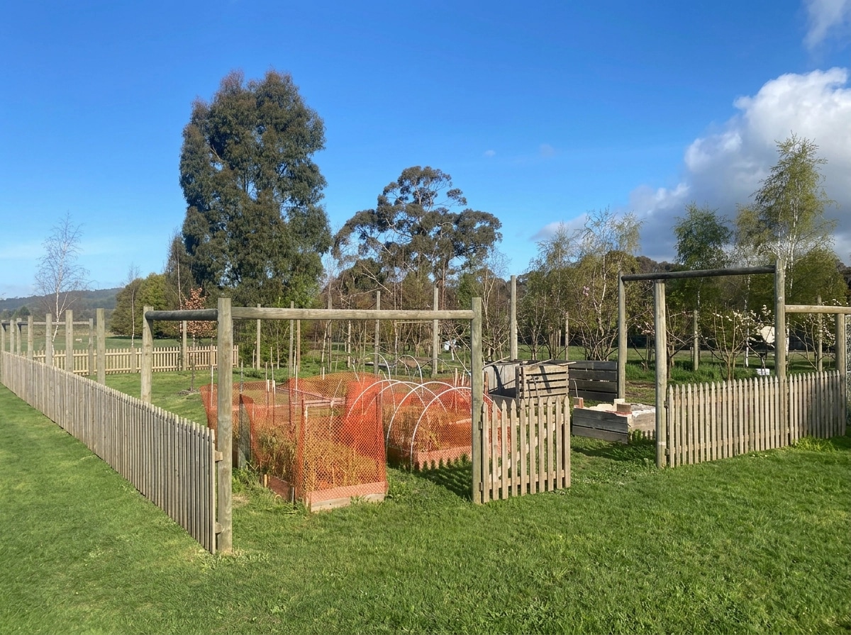 Yard design in no_style style — photo by GenRoom AI