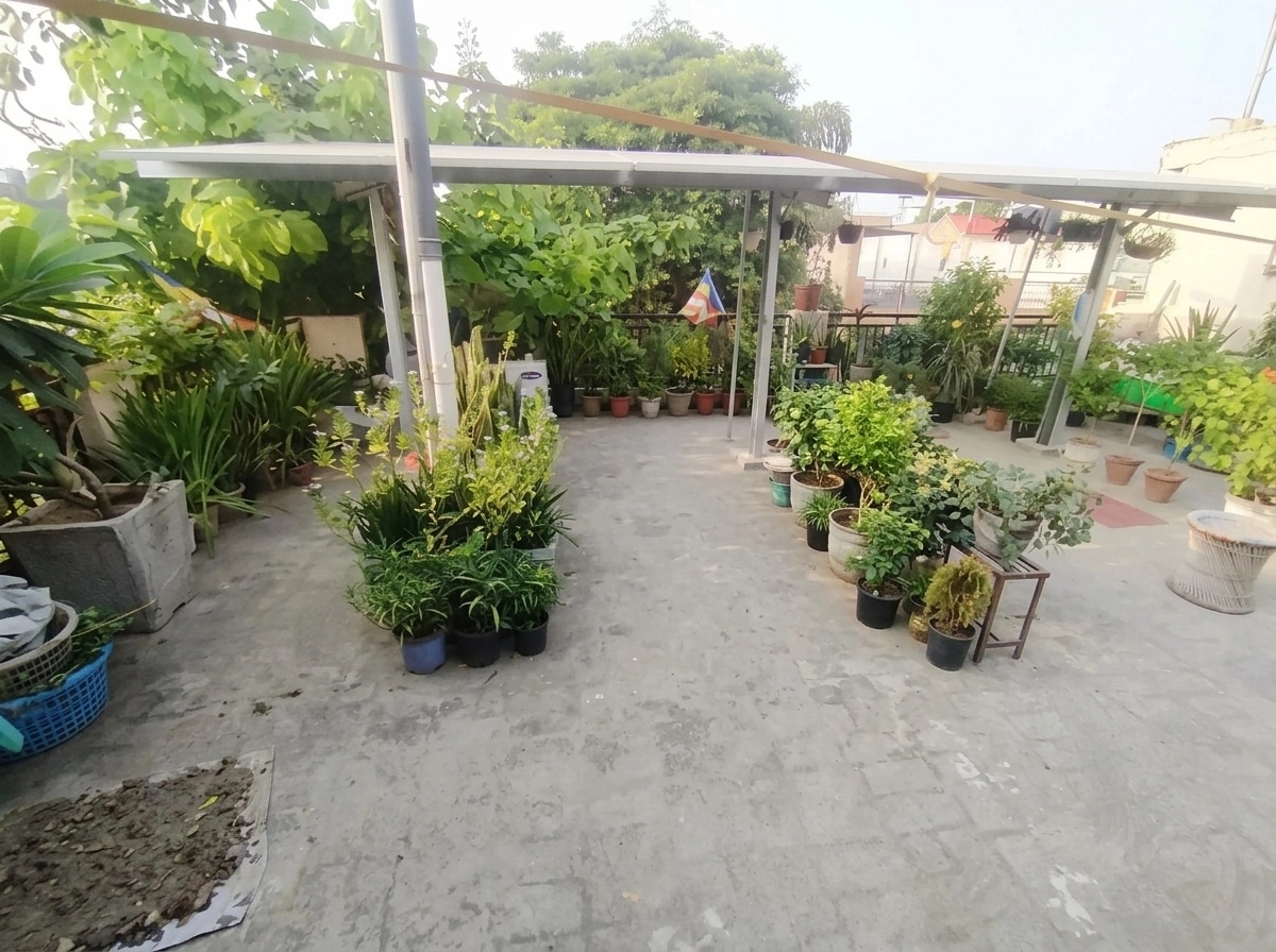 Yard design in no_style style — photo by GenRoom AI