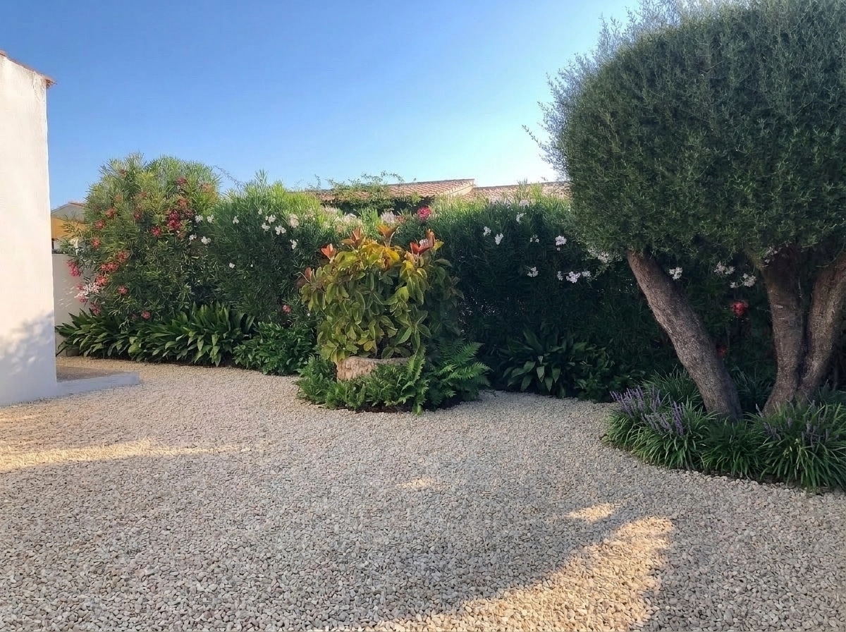 Yard design in no_style style — photo by GenRoom AI