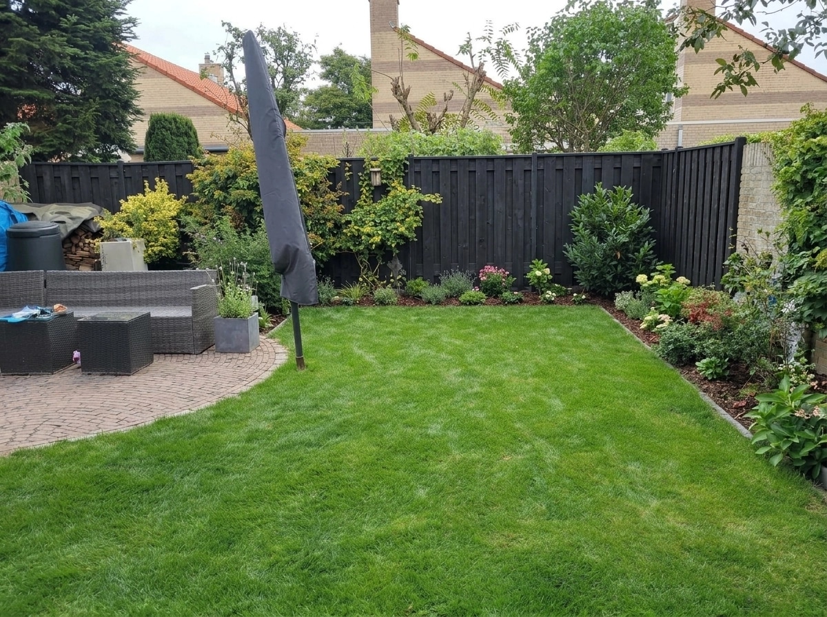Yard design in no_style style — photo by GenRoom AI